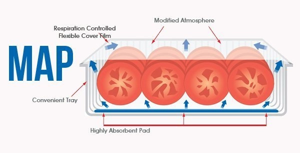 /psa-nitrogen-generator.html /psa-nitrogen-generator.html