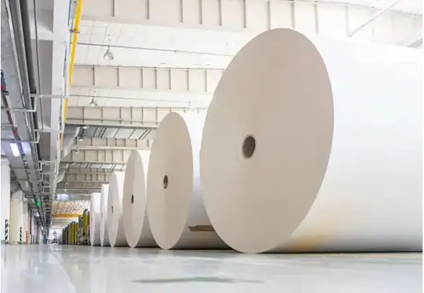 Pulp and Paper